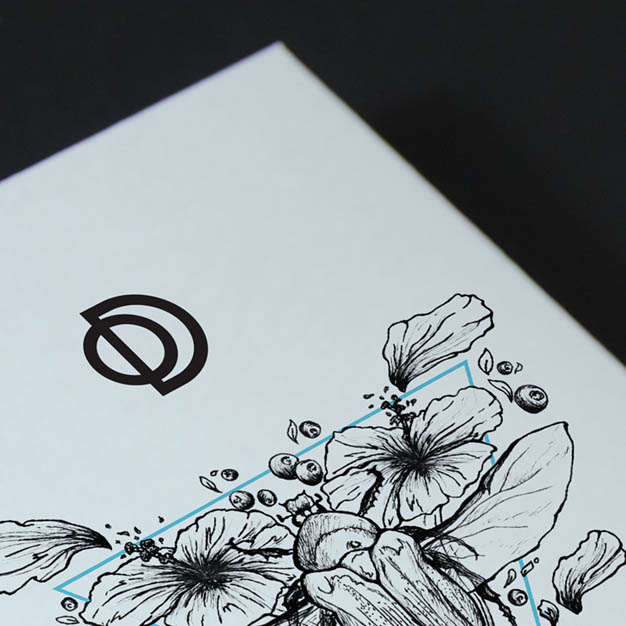 Projet Odd, Manon Roussely